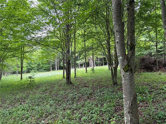 9.11 Acres of Land for Sale in Masonville, New York