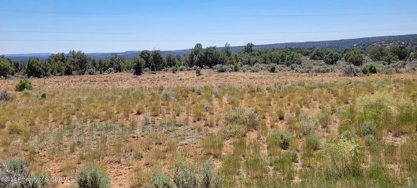 4.85 Acres of Land for Sale in Navajo Dam, New Mexico