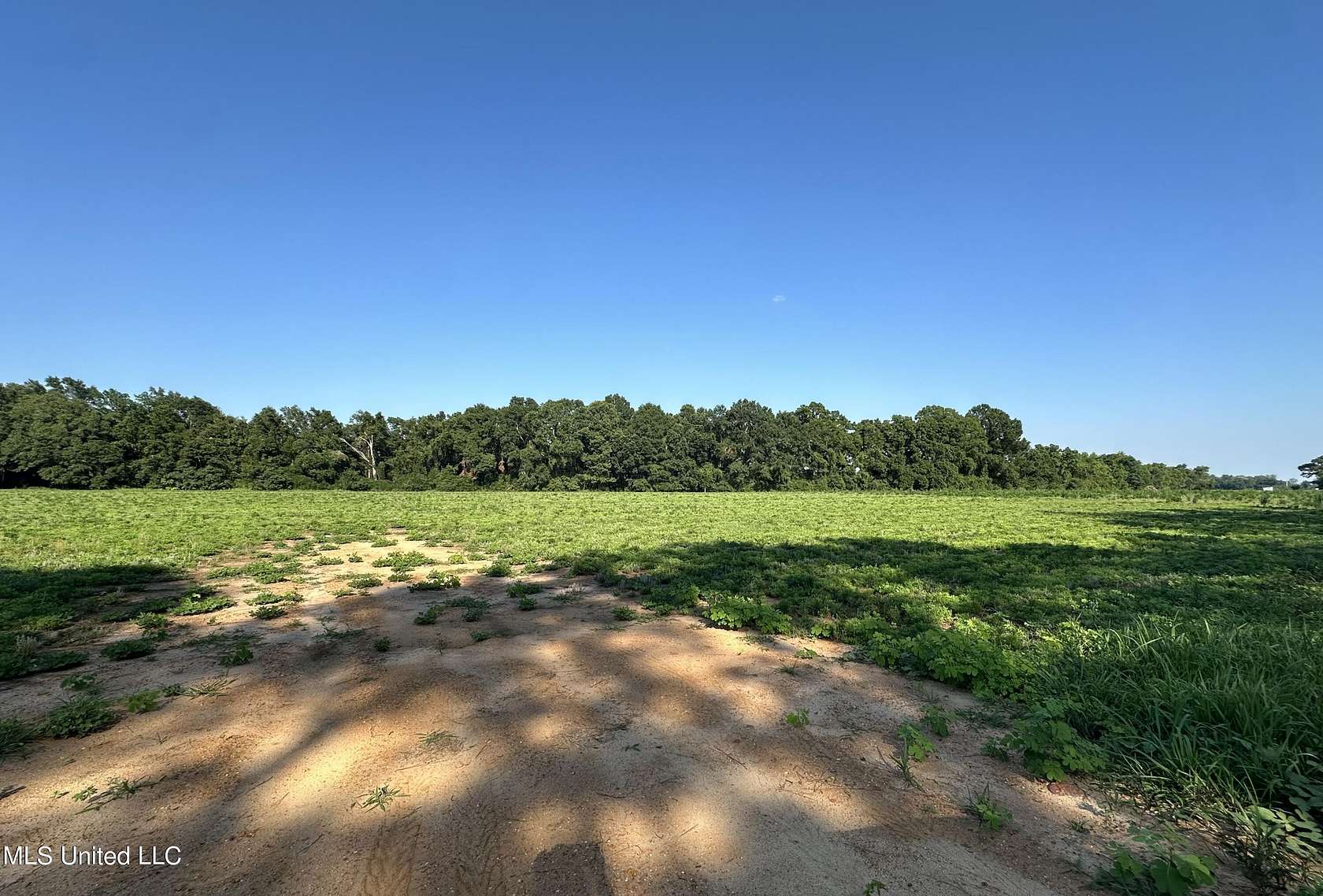 3 Acres of Land for Sale in Lucedale, Mississippi
