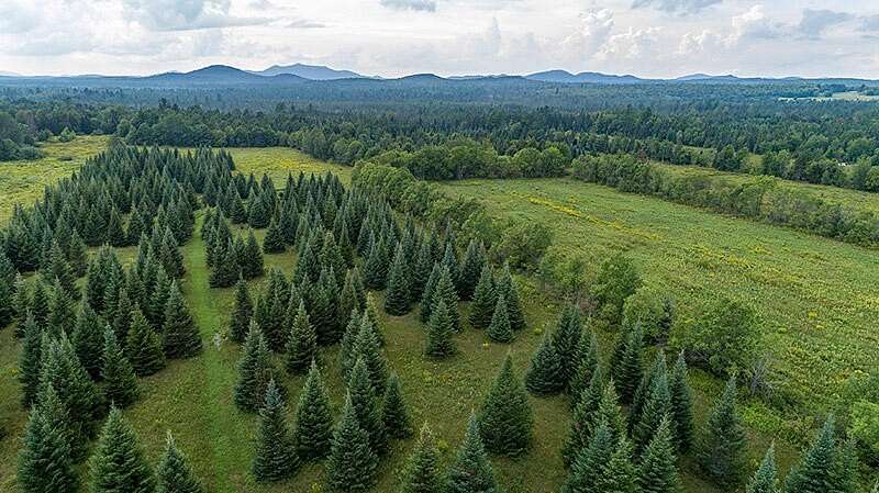 306 Acres of Land for Sale in Saranac Lake, New York