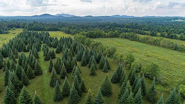 306 Acres of Land for Sale in Saranac Lake, New York