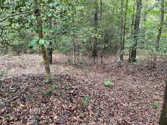 2.07 Acres of Residential Land for Sale in Gibson, Georgia