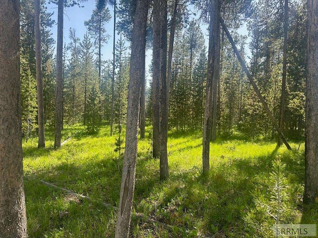 1.16 Acres of Residential Land for Sale in Island Park, Idaho