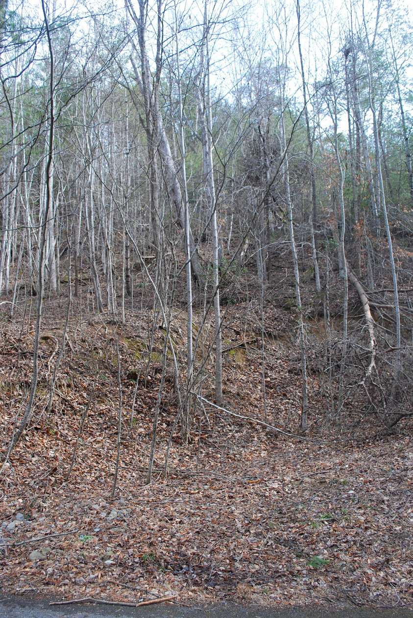 2.95 Acres of Residential Land for Sale in Sevierville, Tennessee