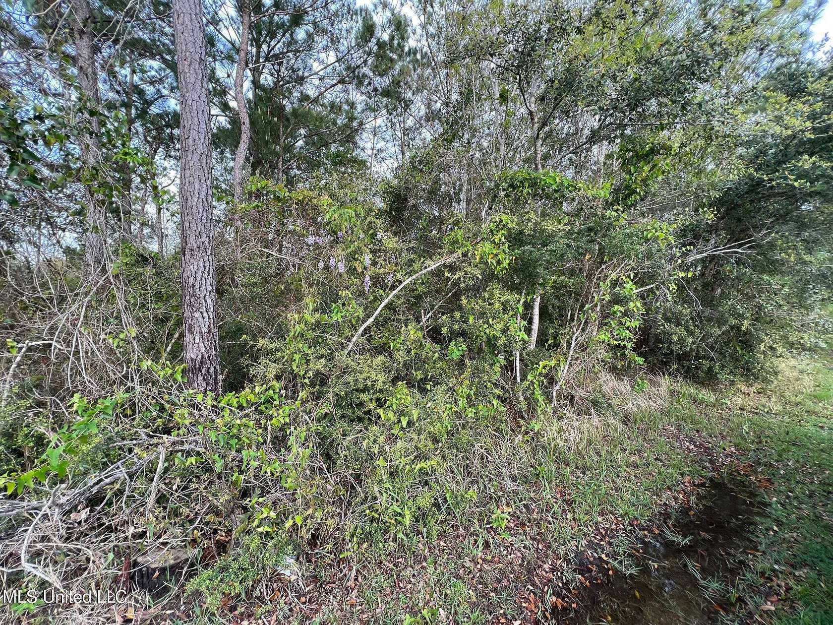 1.3 Acres of Land for Sale in Waveland, Mississippi