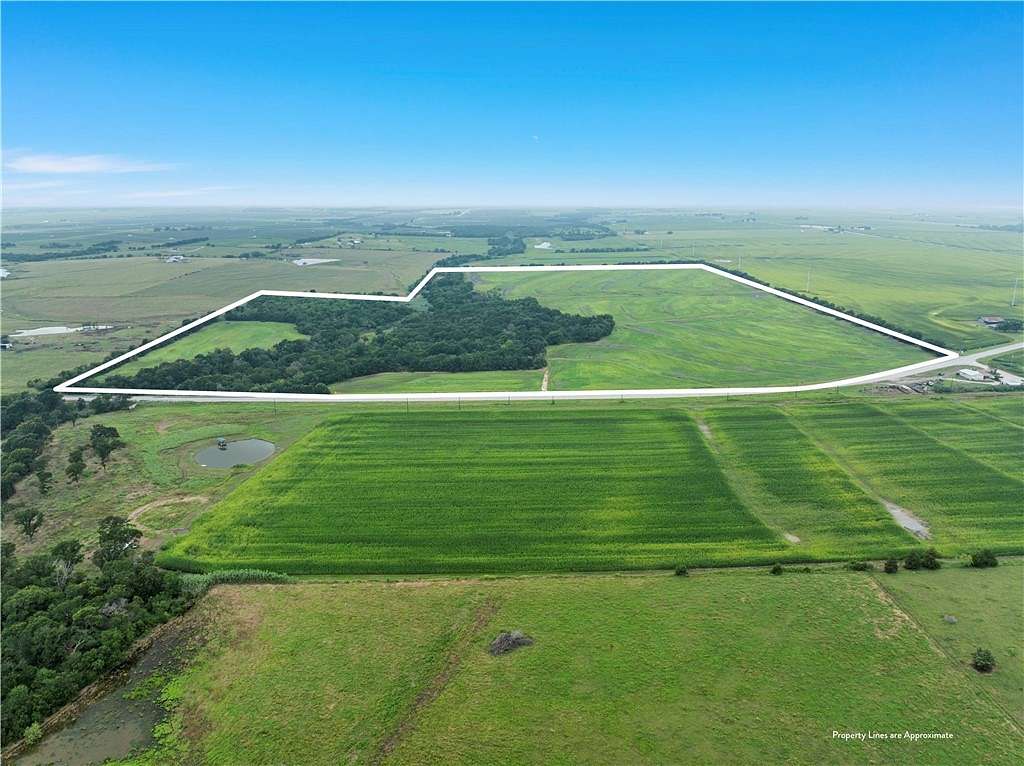 113.218 Acres of Agricultural Land for Sale in Abbott, Texas