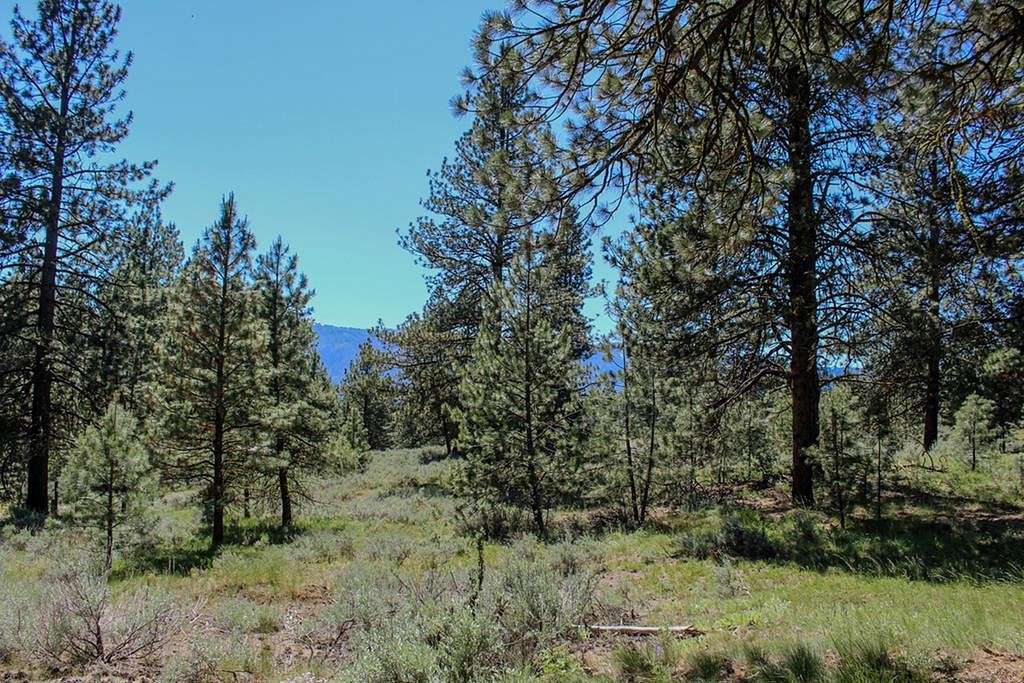 2.54 Acres of Land for Sale in Cascade, Idaho