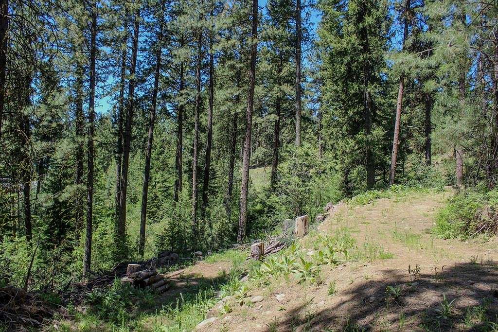 0.6 Acres of Residential Land for Sale in Cascade, Idaho