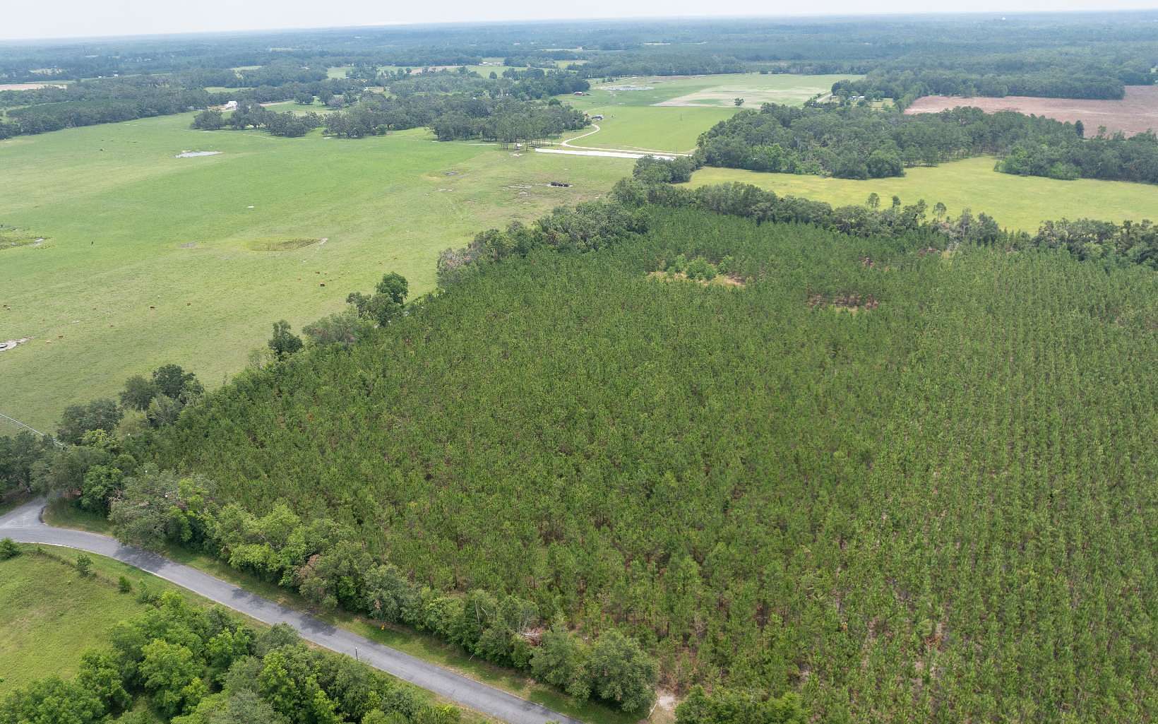 10 Acres of Land for Sale in Live Oak, Florida