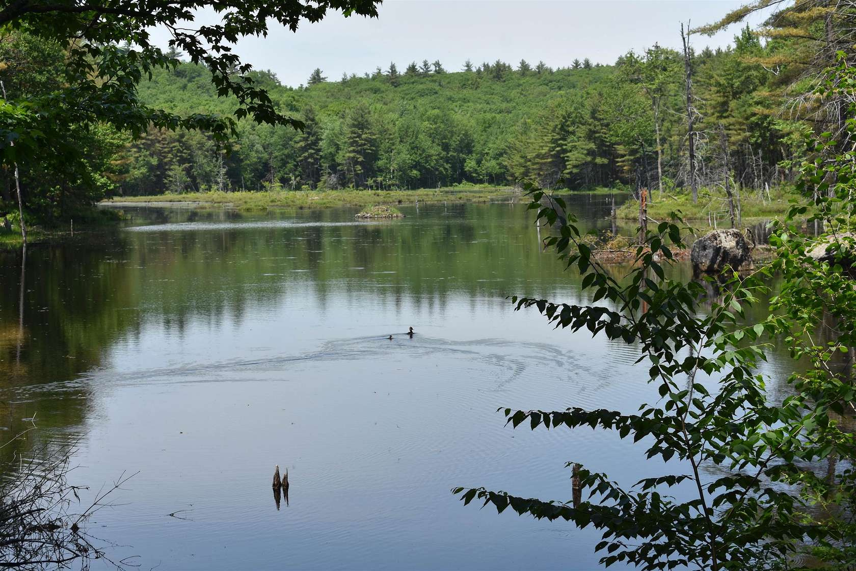 15 Acres of Land for Sale in Fitzwilliam, New Hampshire