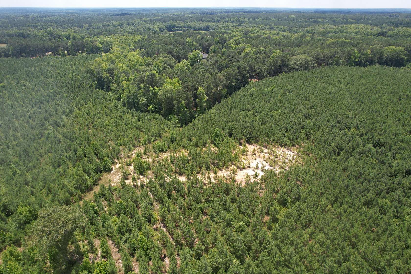 61 Acres of Recreational Land & Farm for Sale in McCormick, South Carolina