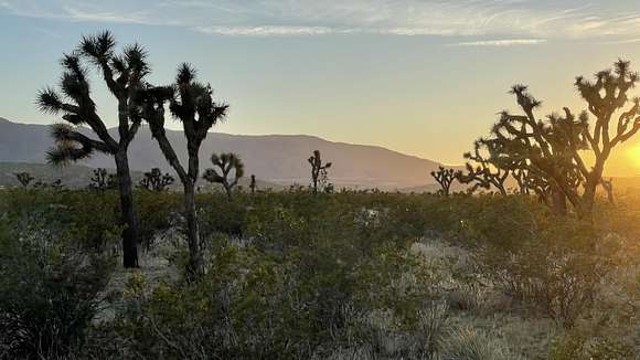 12.158 Acres of Mixed-Use Land for Sale in Palmdale, California