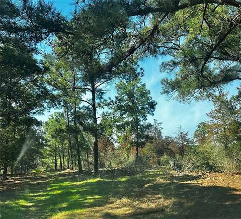 Land for Sale in Bastrop, Texas