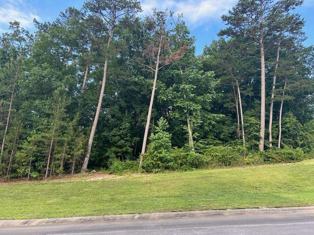 0.76 Acres of Residential Land for Sale in Tunnel Hill, Georgia