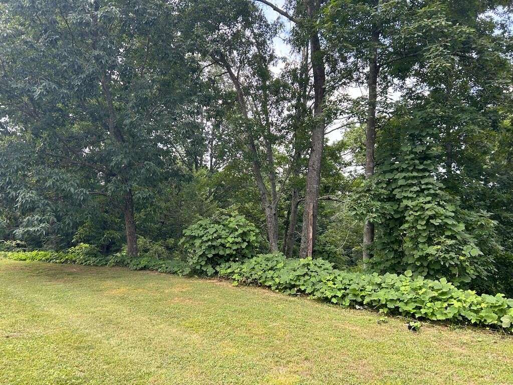 0.68 Acres of Residential Land for Sale in Tunnel Hill, Georgia