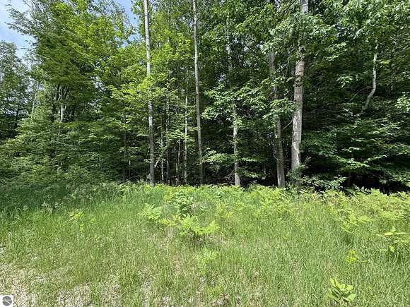 0.51 Acres of Residential Land for Sale in Le Roy, Michigan