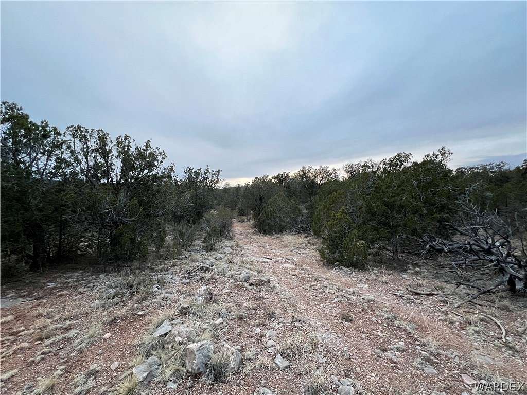 36.4 Acres of Recreational Land & Farm for Sale in Peach Springs, Arizona