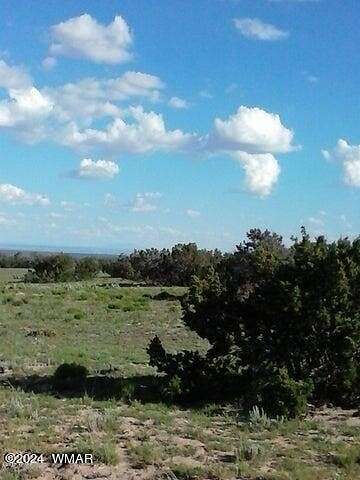 75 Acres of Land for Sale in St. Johns, Arizona