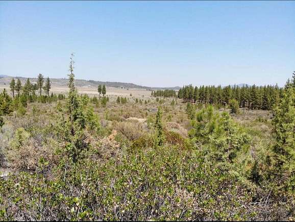 100 Acres of Agricultural Land for Sale in Chiloquin, Oregon