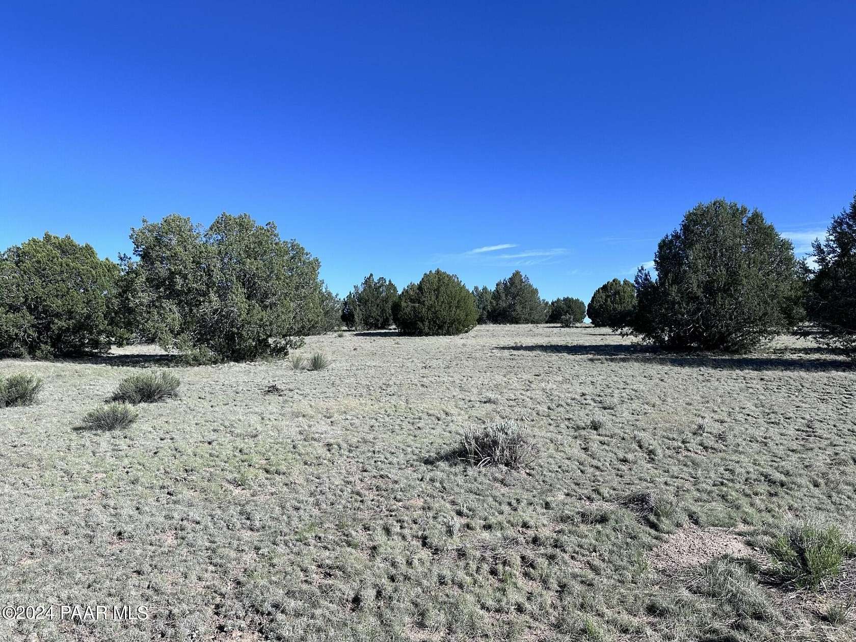 38.2 Acres of Land for Sale in Seligman, Arizona