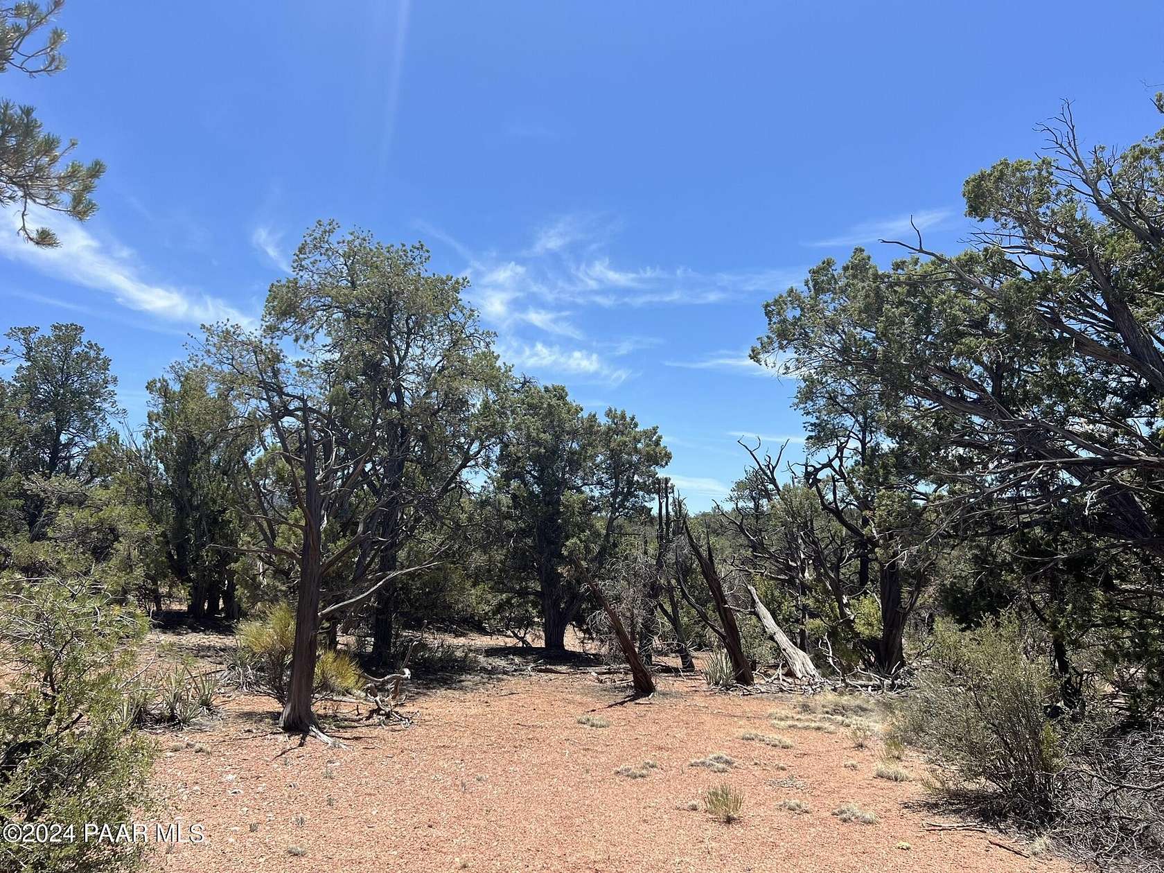 81 Acres of Recreational Land for Sale in Seligman, Arizona