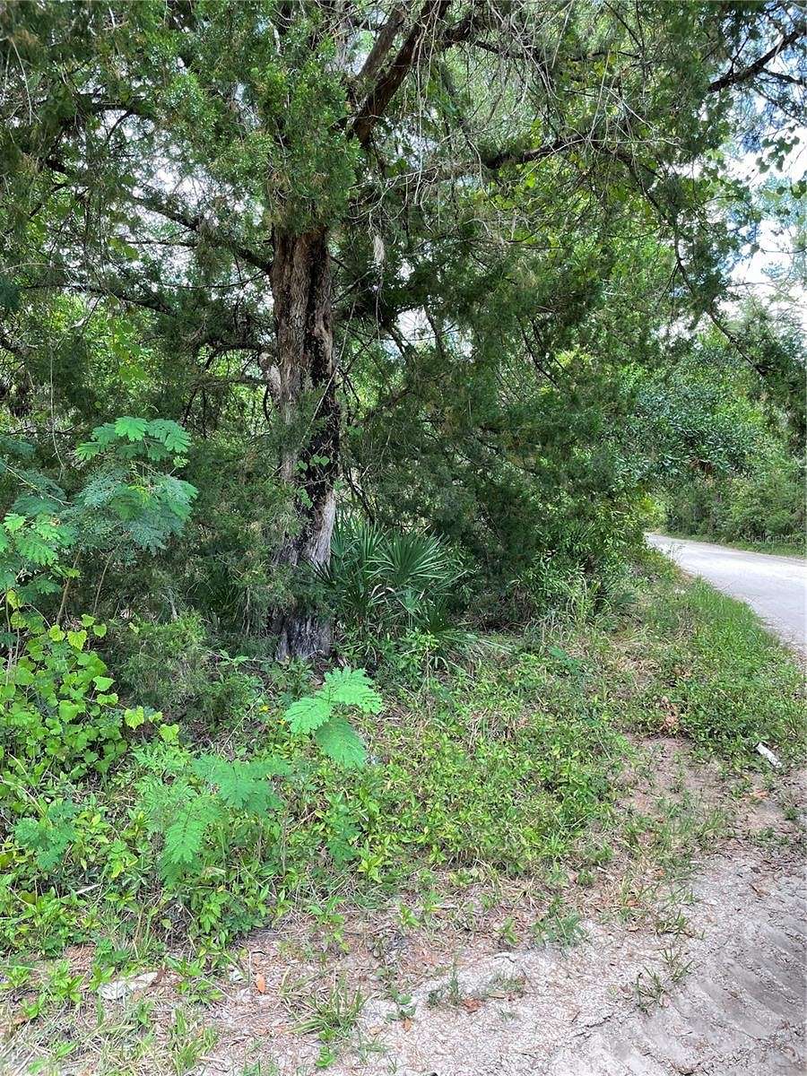 2.5 Acres of Residential Land for Sale in New Smyrna Beach, Florida