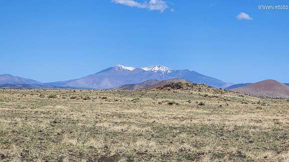 40 Acres of Recreational Land for Sale in Flagstaff, Arizona