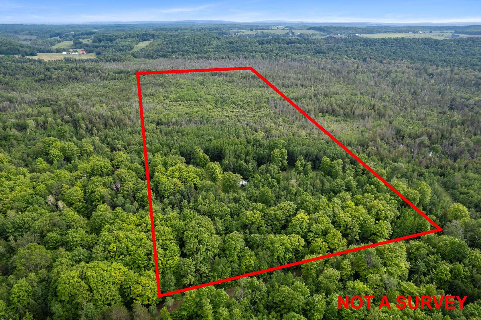 40 Acres of Recreational Land for Sale in Carp Lake, Michigan