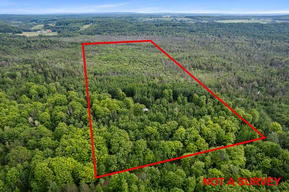 40 Acres of Recreational Land for Sale in Carp Lake, Michigan