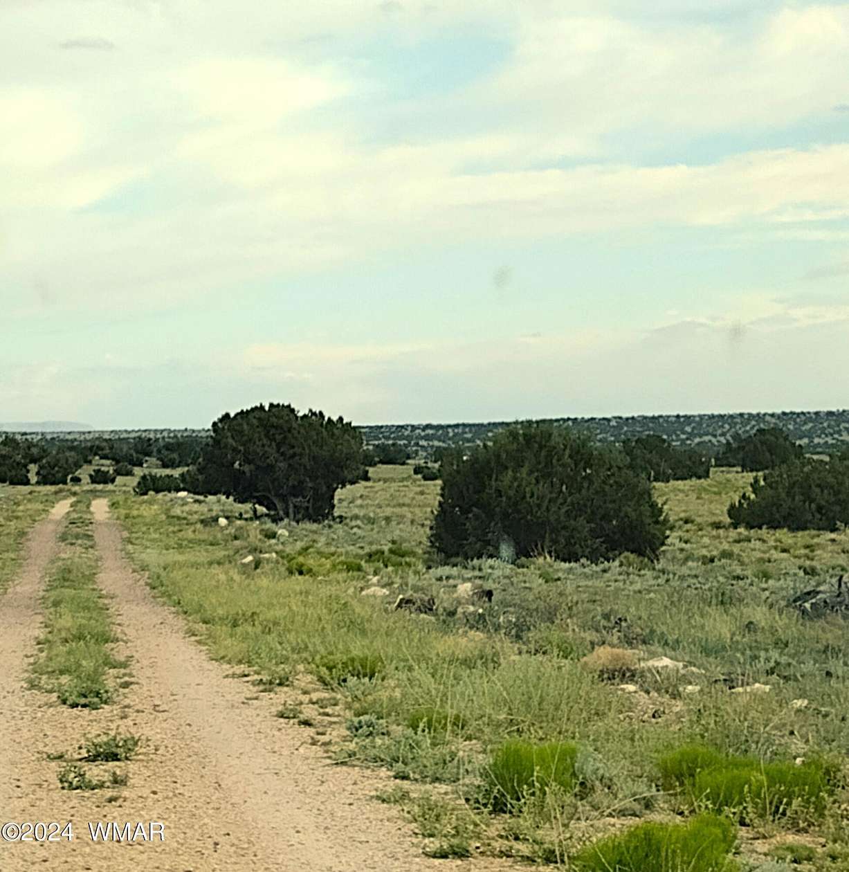 40.25 Acres of Land for Sale in St. Johns, Arizona