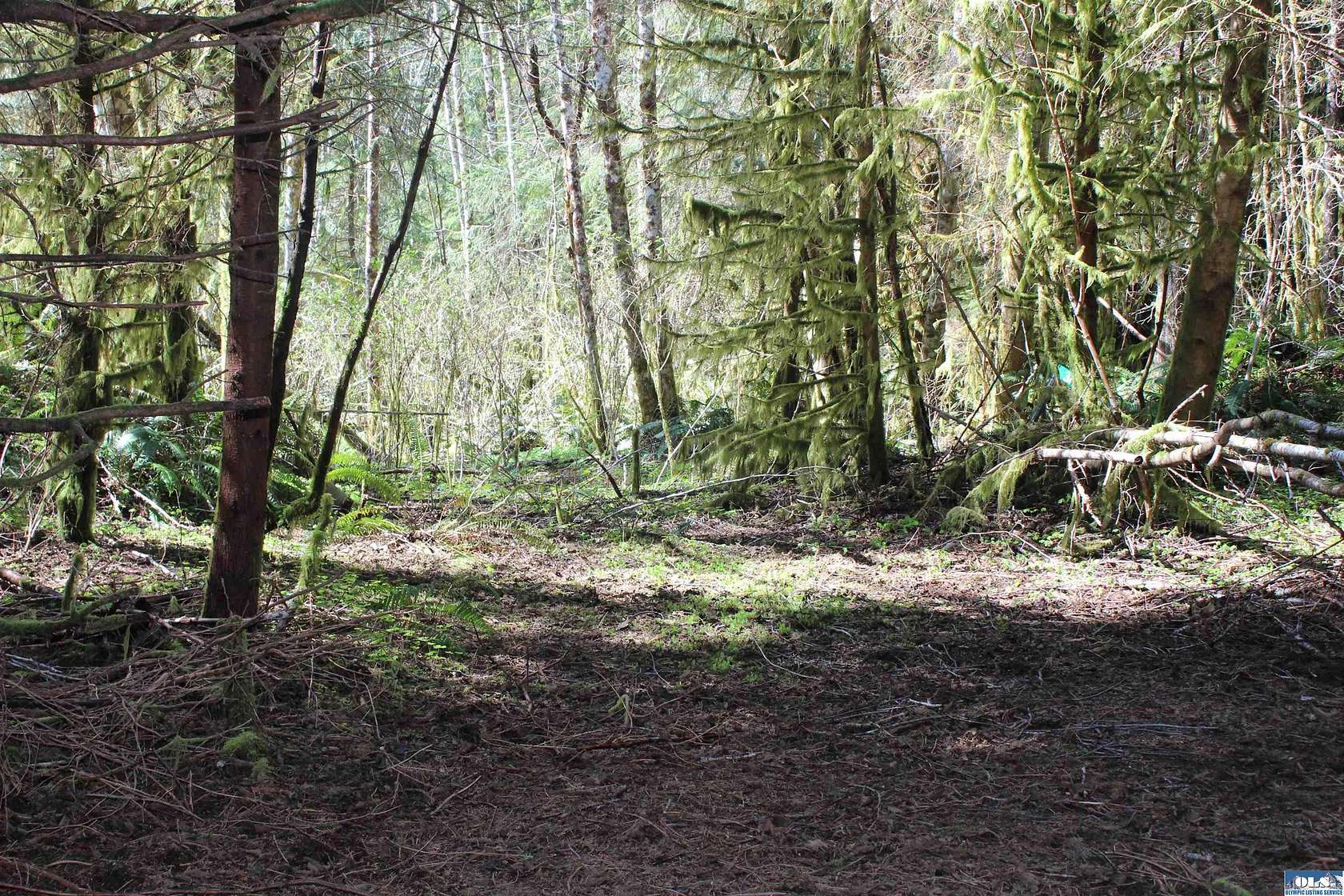 39.59 Acres of Land for Sale in Port Angeles, Washington