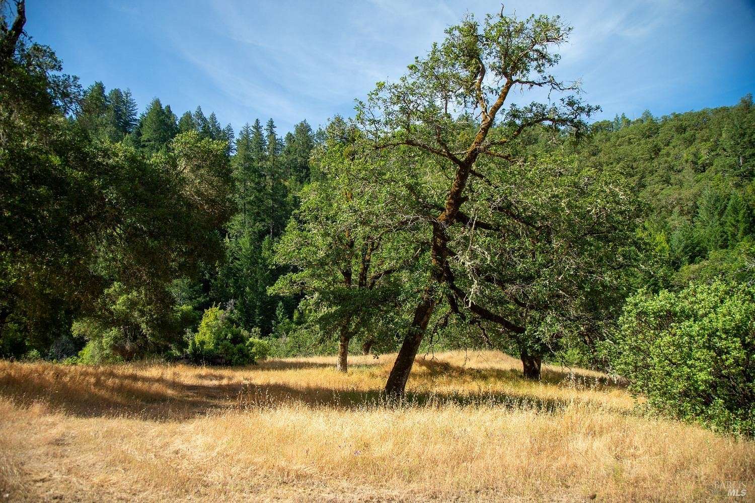 178.73 Acres of Recreational Land for Sale in Healdsburg, California