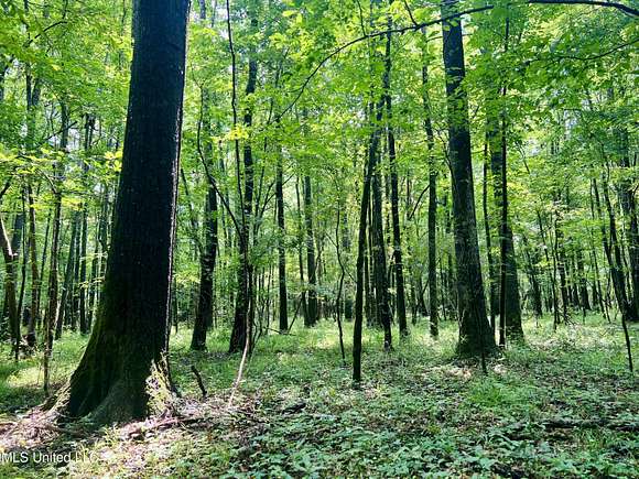 70 Acres of Recreational Land for Sale in Camden, Mississippi