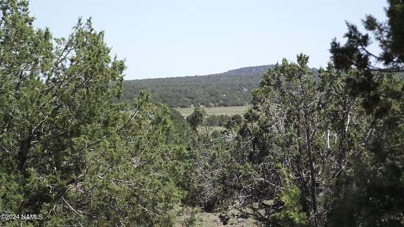 37.55 Acres of Recreational Land & Farm for Sale in Ash Fork, Arizona