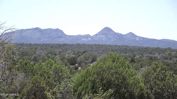 40.05 Acres of Recreational Land & Farm for Sale in Ash Fork, Arizona