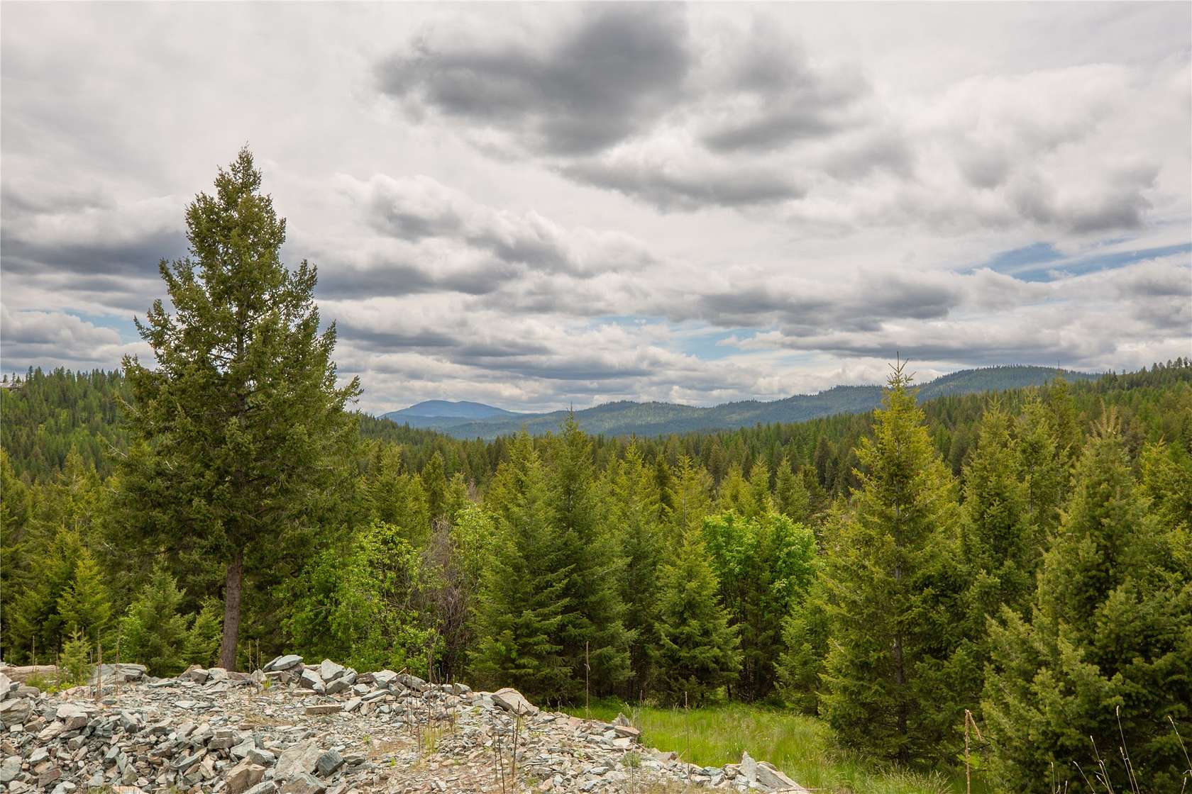 54.06 Acres of Recreational Land for Sale in Kalispell, Montana