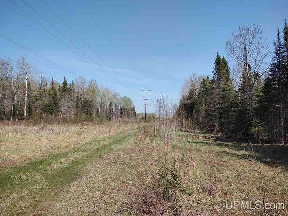80 Acres of Recreational Land for Sale in Wells Township, Michigan