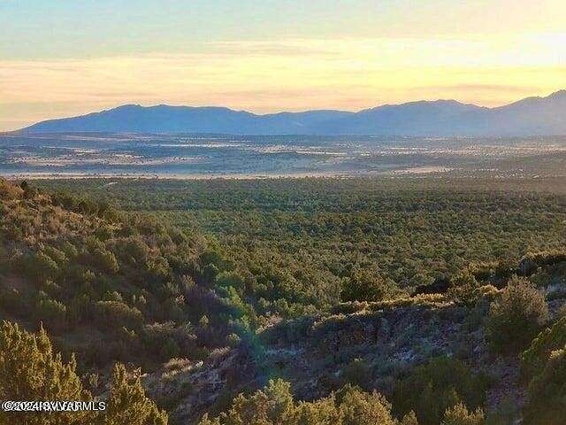 42.87 Acres of Land for Sale in Seligman, Arizona