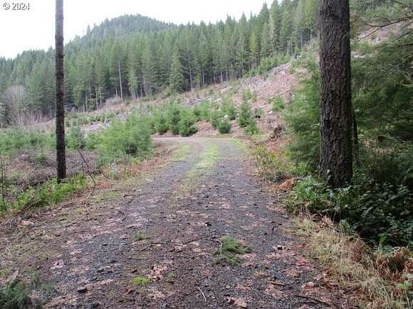 183.93 Acres of Recreational Land for Sale in Sweet Home, Oregon
