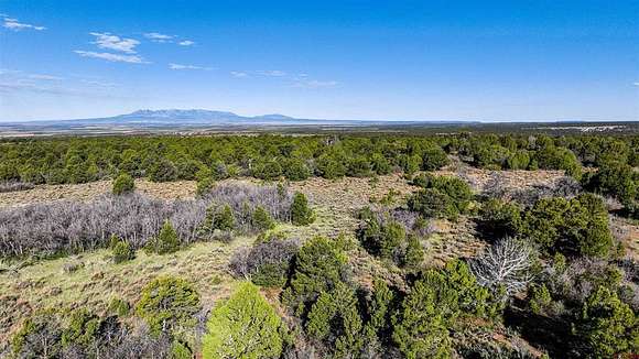 35 Acres of Recreational Land for Sale in Egnar, Colorado