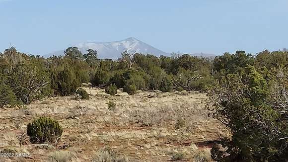 36.3 Acres of Recreational Land for Sale in Williams, Arizona