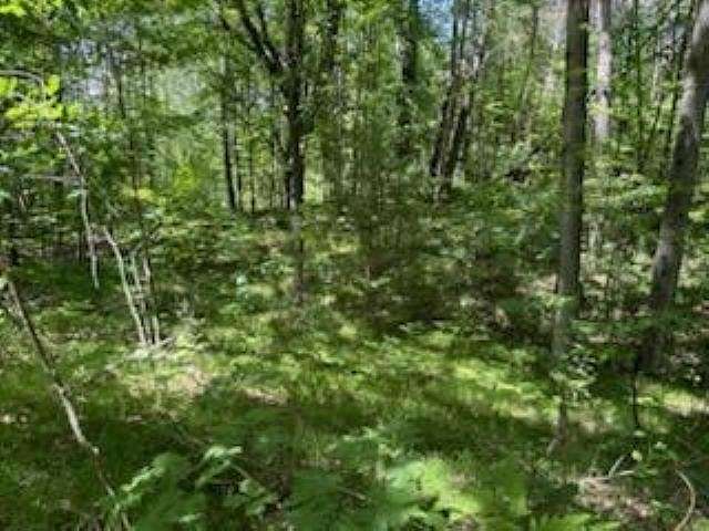0.78 Acres of Residential Land for Sale in Lake, Michigan