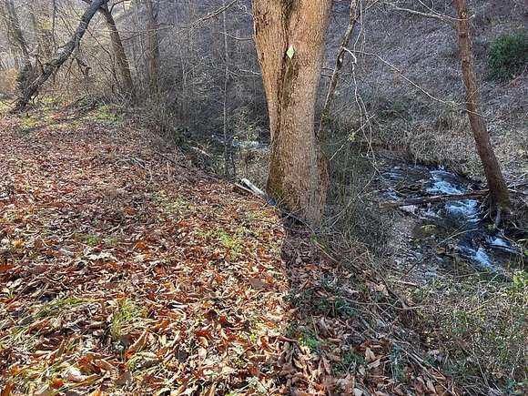 11.17 Acres of Land for Sale in Sylva, North Carolina