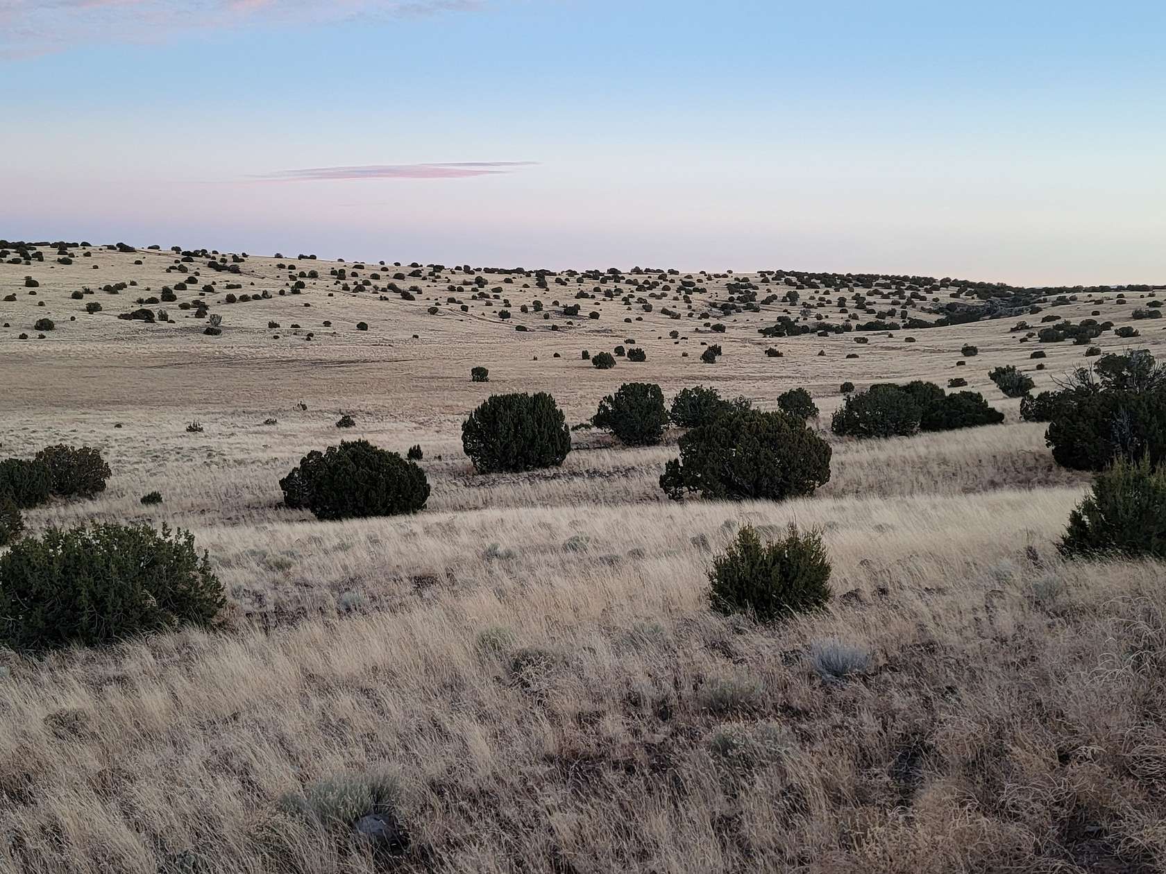 1.16 Acres of Residential Land for Sale in Concho, Arizona