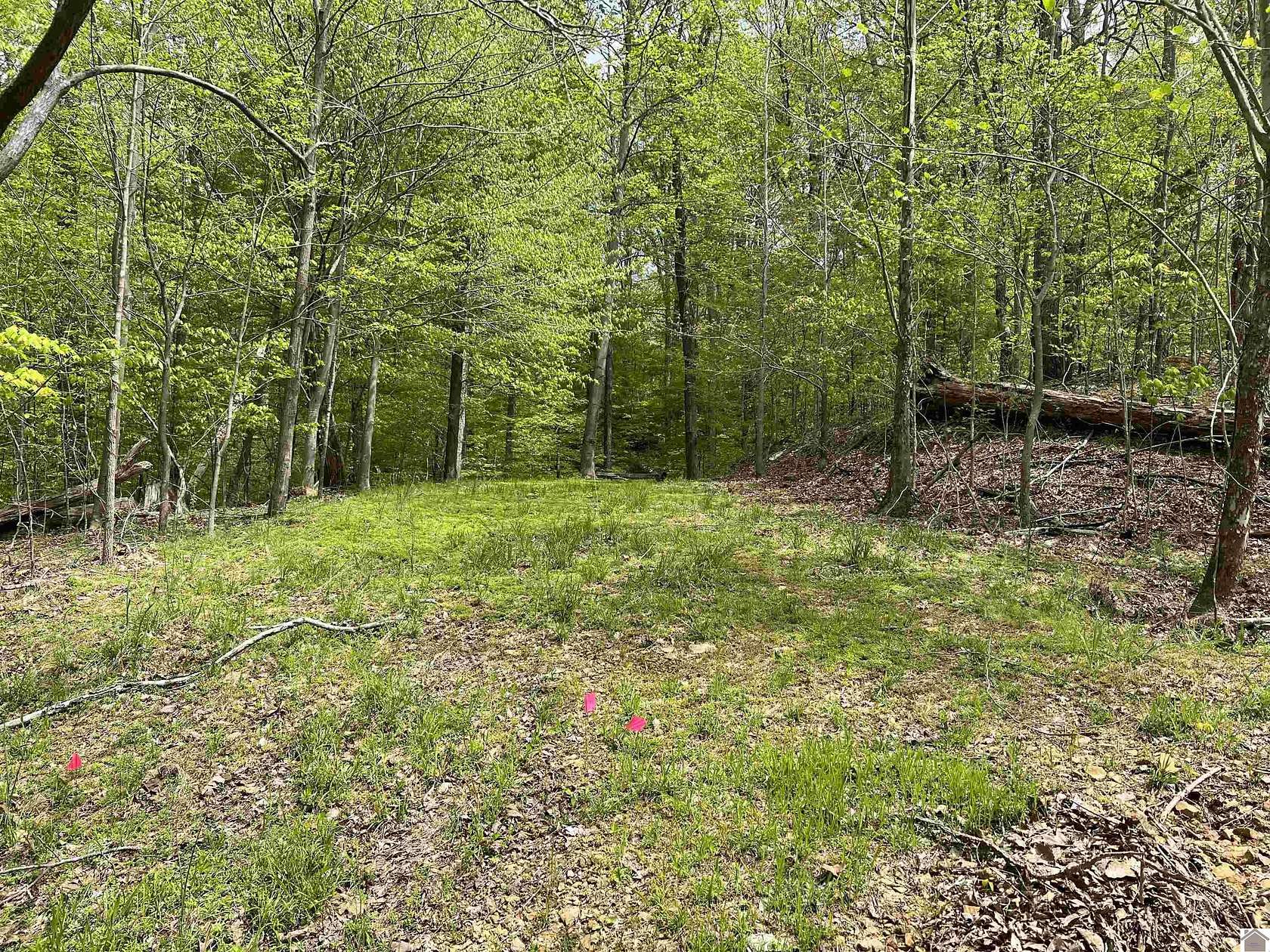 0.61 Acres of Land for Sale in Eddyville, Kentucky