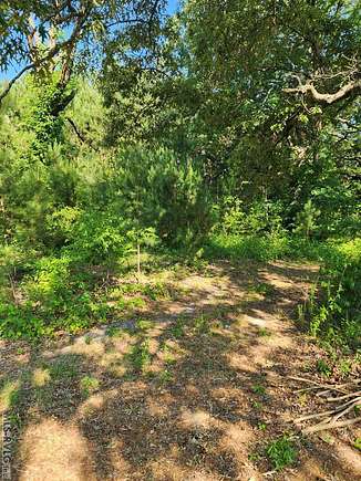 0.227 Acres of Residential Land for Sale in Roanoke Rapids, North Carolina