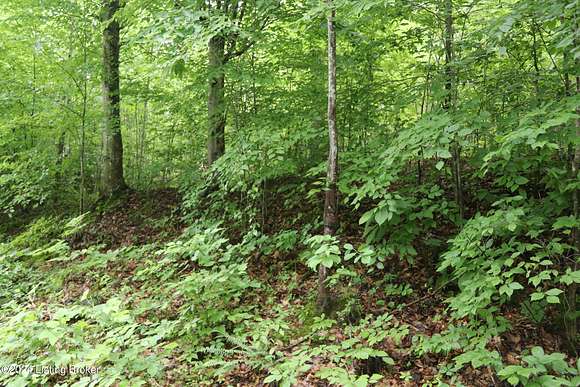 1.11 Acres of Residential Land for Sale in Kyrock, Kentucky