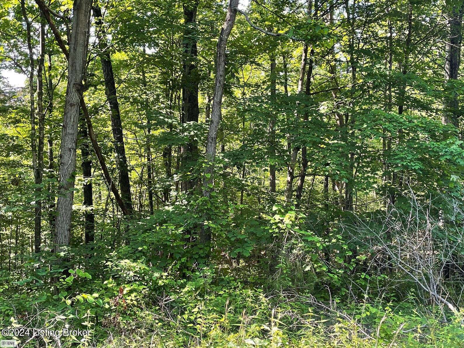 0.38 Acres of Residential Land for Sale in Mammoth Cave, Kentucky
