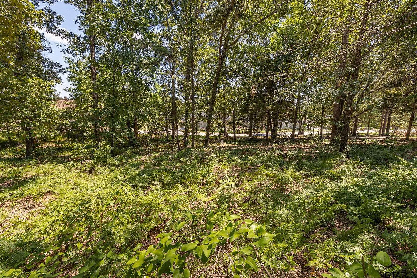 0.407 Acres of Residential Land for Sale in Tyler, Texas