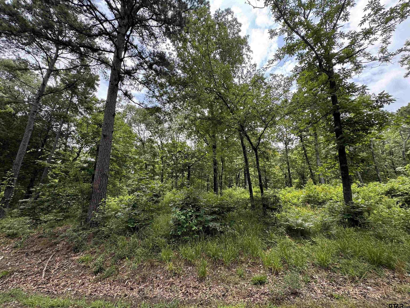 0.64 Acres of Residential Land for Sale in Mineola, Texas